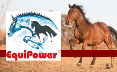 EquiPower