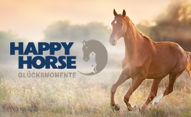 Happy Horse