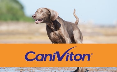 Caniviton