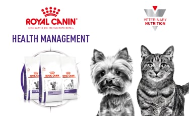 Ruimteschip Verwisselbaar Monica ROYAL CANIN® Hunde- und Katzennahrung | Tierarzt24.de