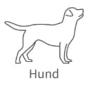 Bilder für Hersteller Hund