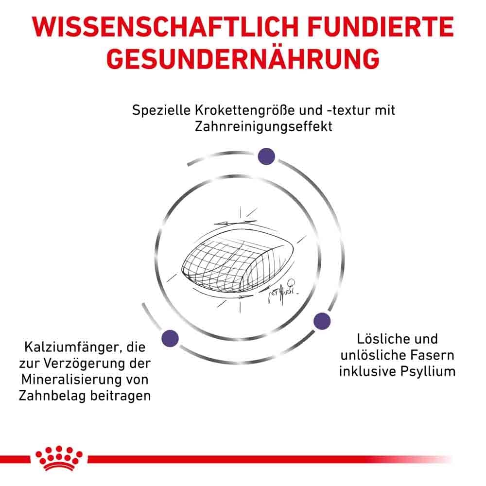 Royal Canin Expert Dental Trockenfutter für Katzen_4