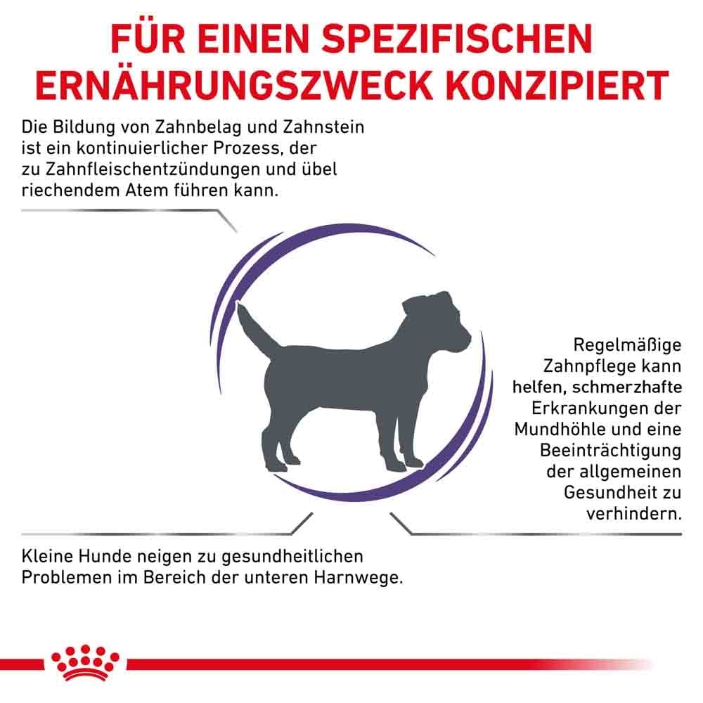 Royal Canin Expert Dental Small Dogs Trockenfutter für Hunde_4