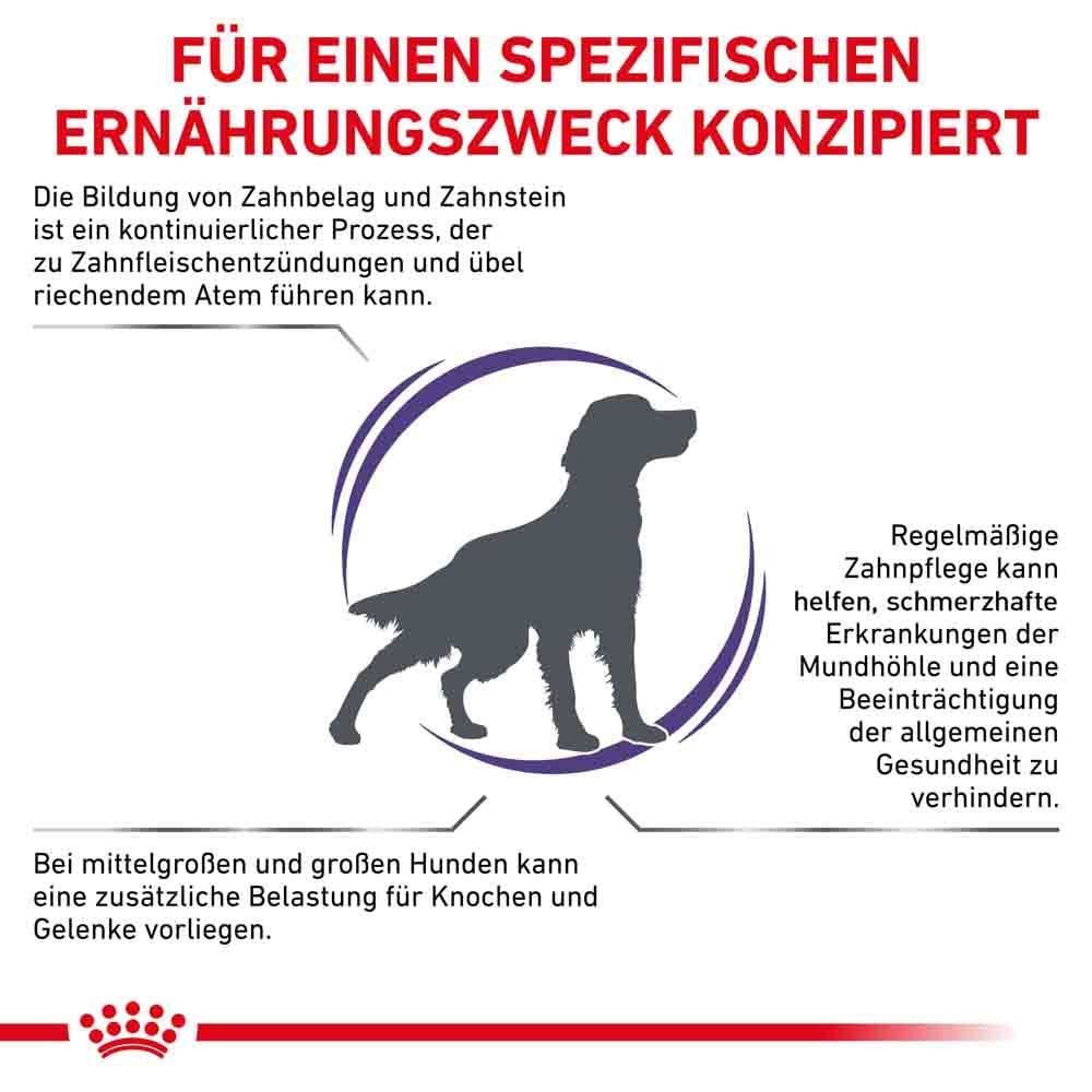 Royal Canin Expert Dental Medium & Large Dogs Trockenfutter für Hunde_3