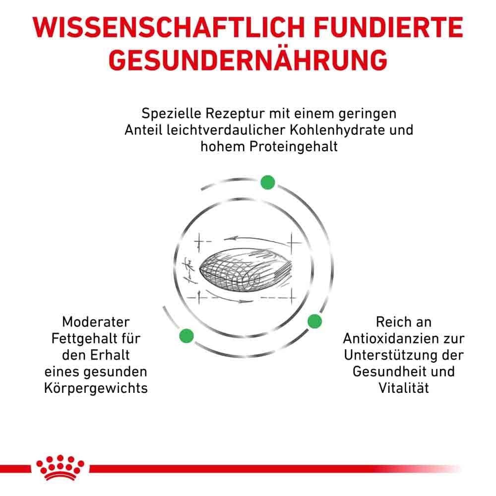 Royal Canin Veterinary Diabetic Trockenfutter für Hunde_3