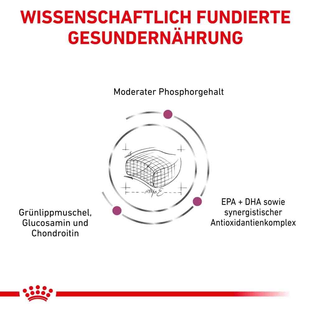 Royal Canin Veterinary Early Renal Trockenfutter für Katzen_3