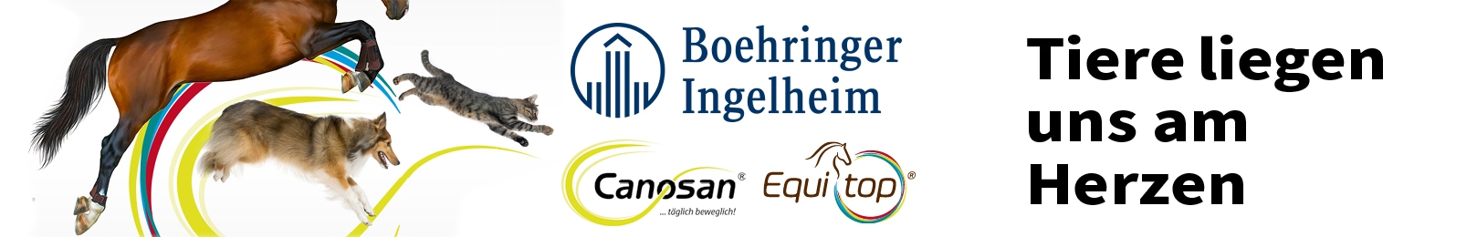 Boehringer Ingelheim