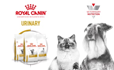 Royal Canin Urinary