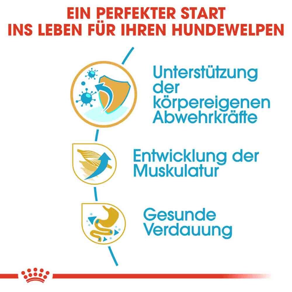 Royal Canin Boxer Puppy Welpenfutter trocken_4