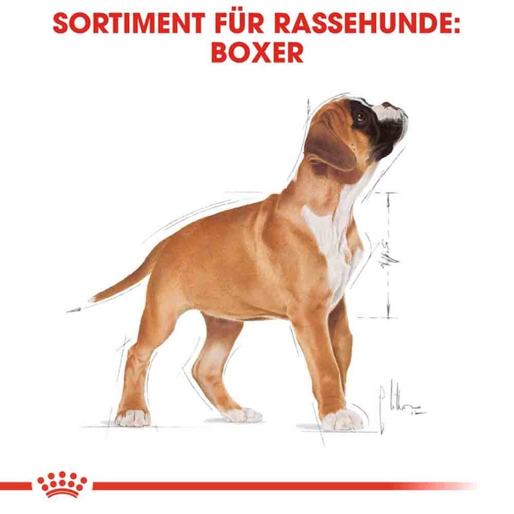Royal Canin Boxer Puppy Welpenfutter trocken_6