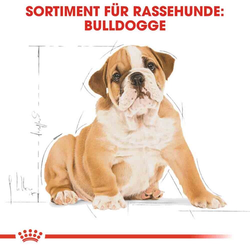 Royal Canin Bulldog Puppy Welpenfutter trocken_6