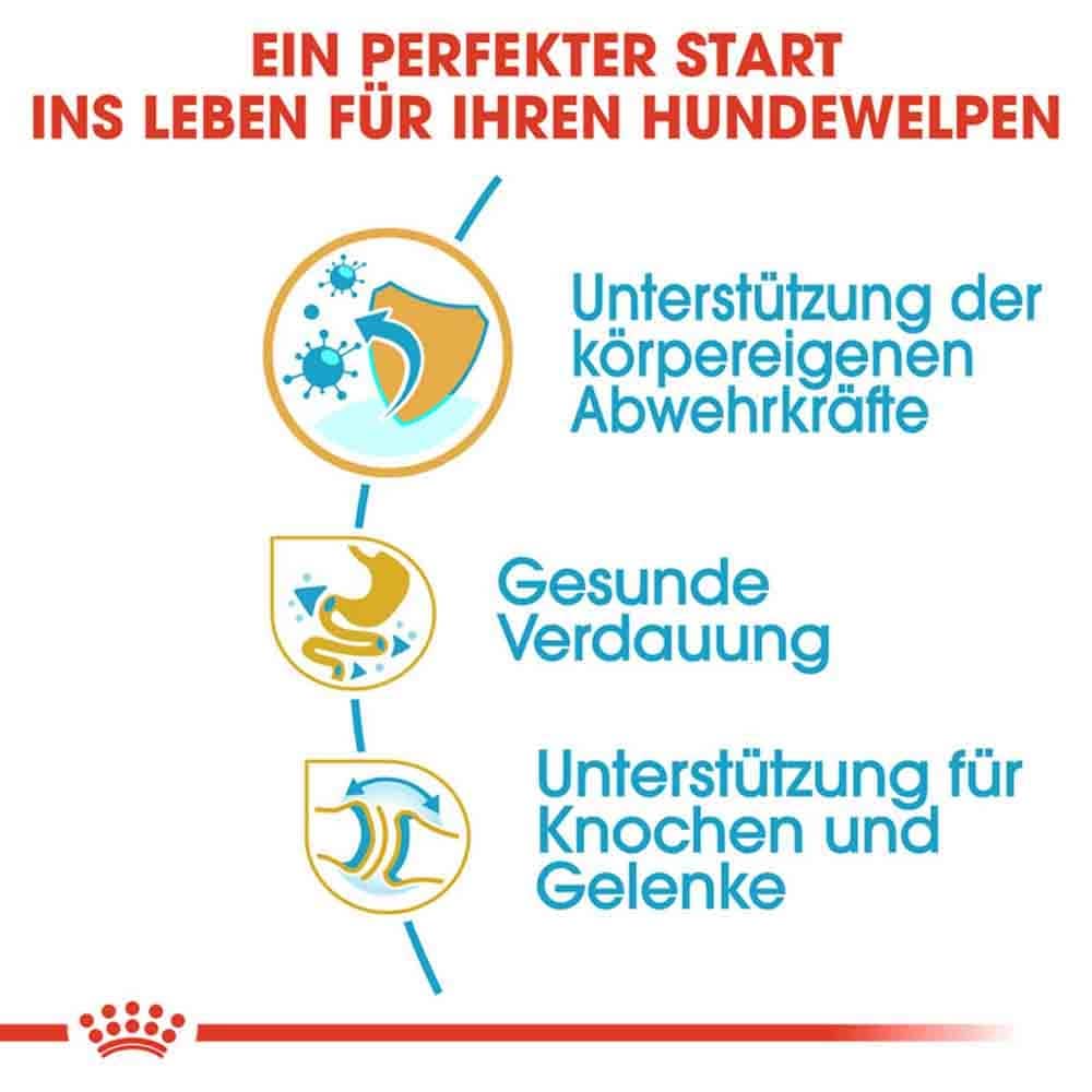 Royal Canin Bulldog Puppy Welpenfutter trocken_4