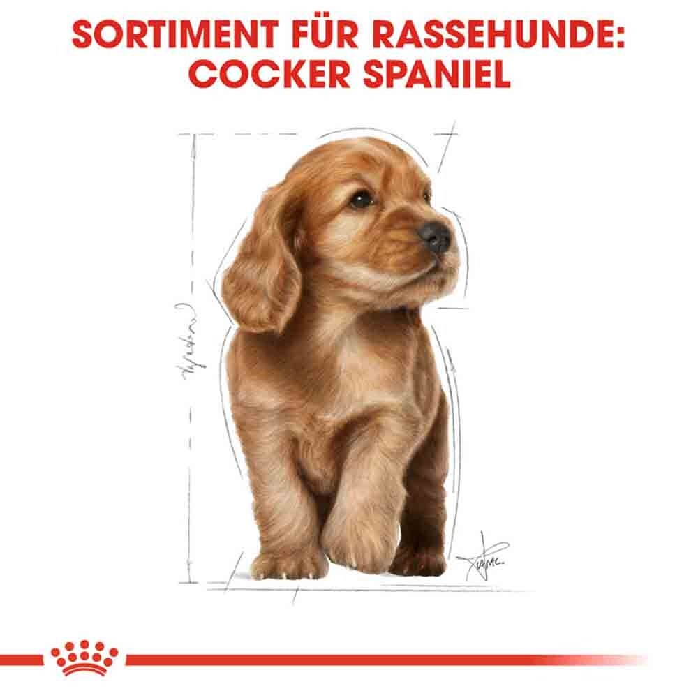 Royal Canin Cocker Puppy Welpenfutter trocken_6