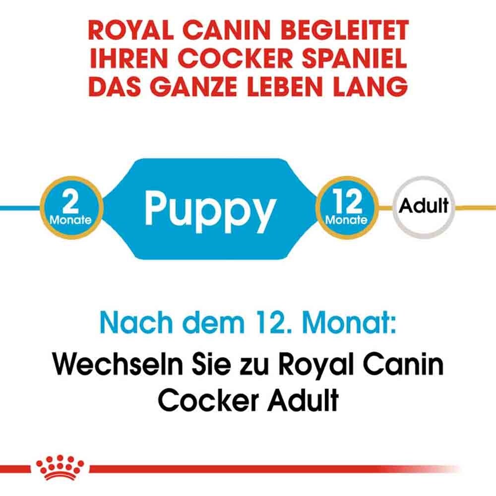 Royal Canin Cocker Puppy Welpenfutter trocken_3