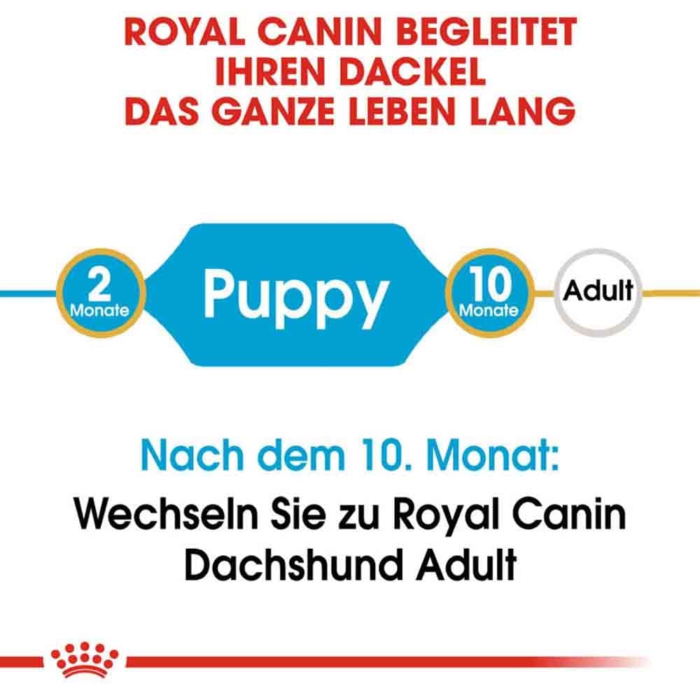 Royal Canin Dachshund Puppy Welpenfutter trocken_3