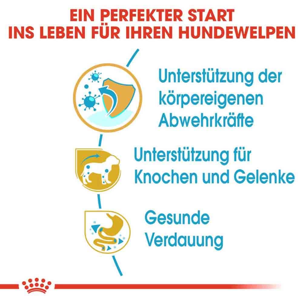 Royal Canin Dachshund Puppy Welpenfutter trocken_4