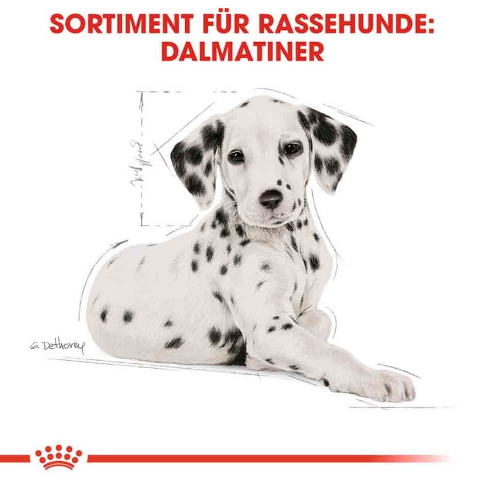 Royal Canin Dalmatian Puppy Welpenfutter_6
