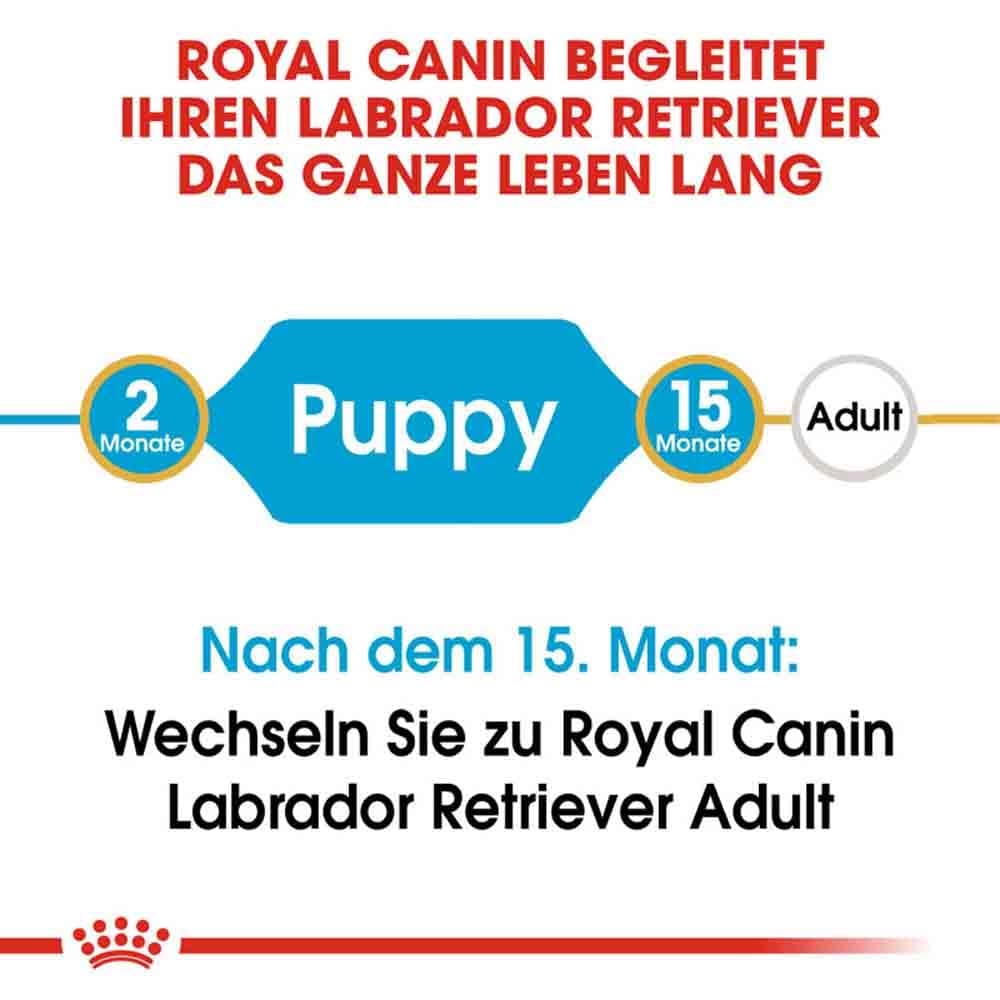 Royal Canin Labrador Retriever Puppy Welpenfutter trocken_3