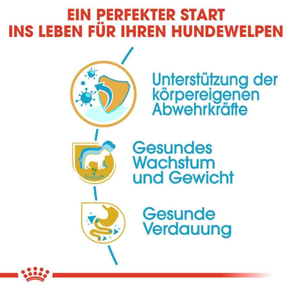 Royal Canin Labrador Retriever Puppy Welpenfutter trocken_4