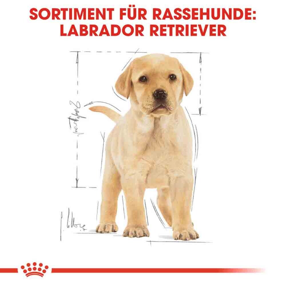Royal Canin Labrador Retriever Puppy Welpenfutter trocken_6