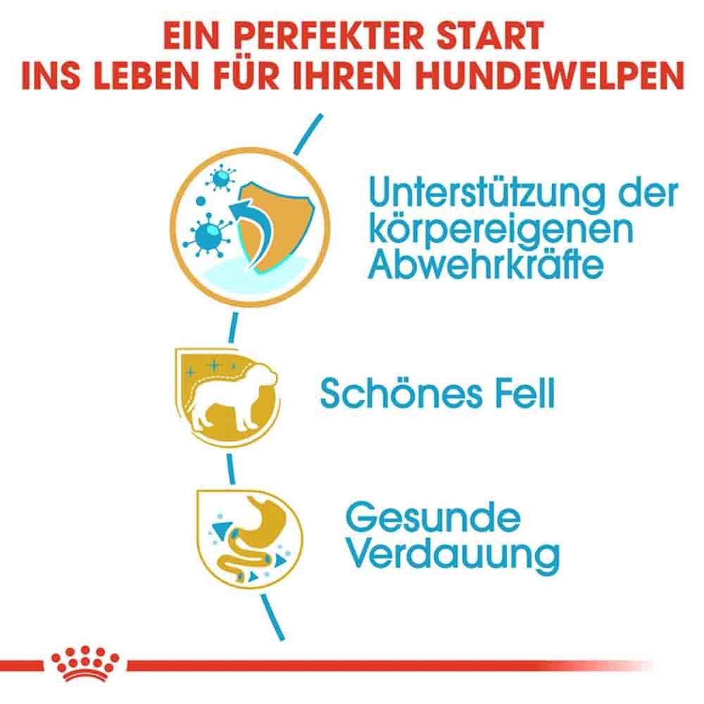 Royal Canin Poodle Puppy Welpenfutter_4