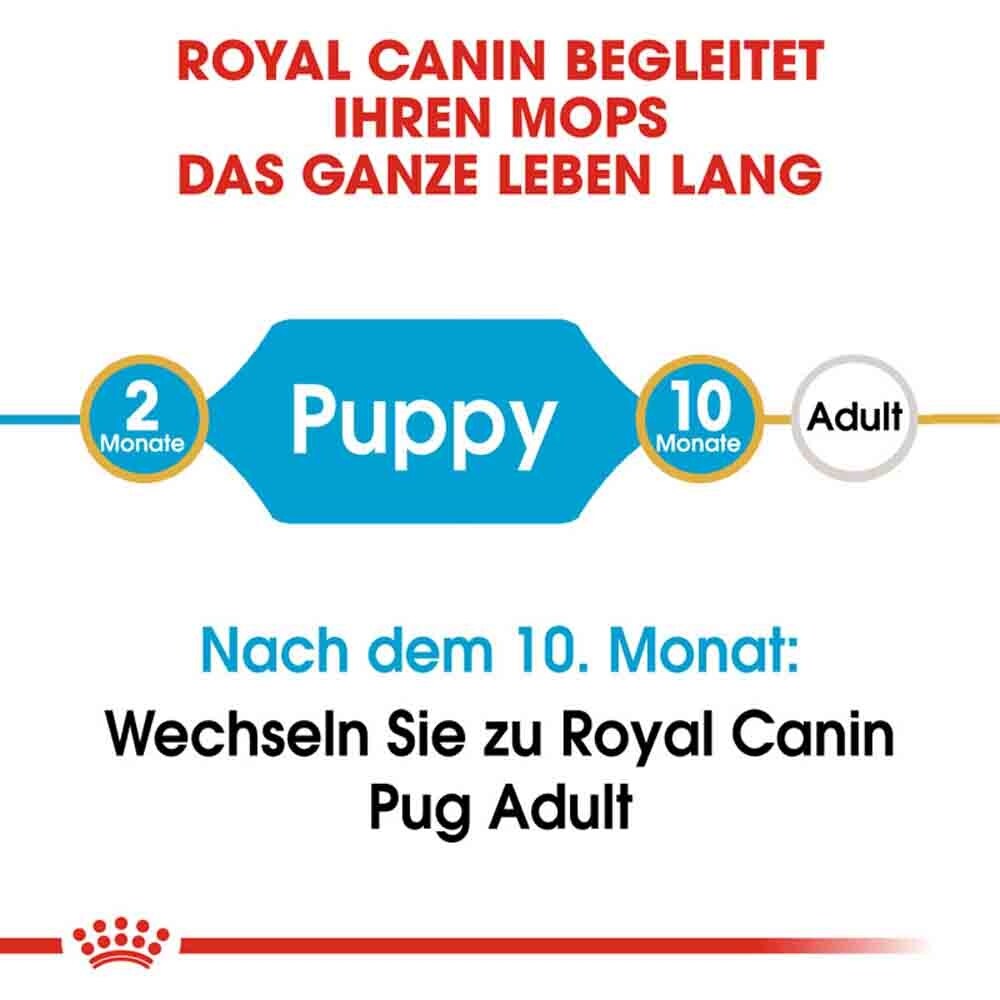 Royal Canin Pug Puppy Welpenfutter trocken_3