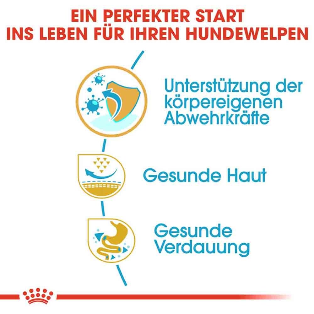 Royal Canin Pug Puppy Welpenfutter trocken_4