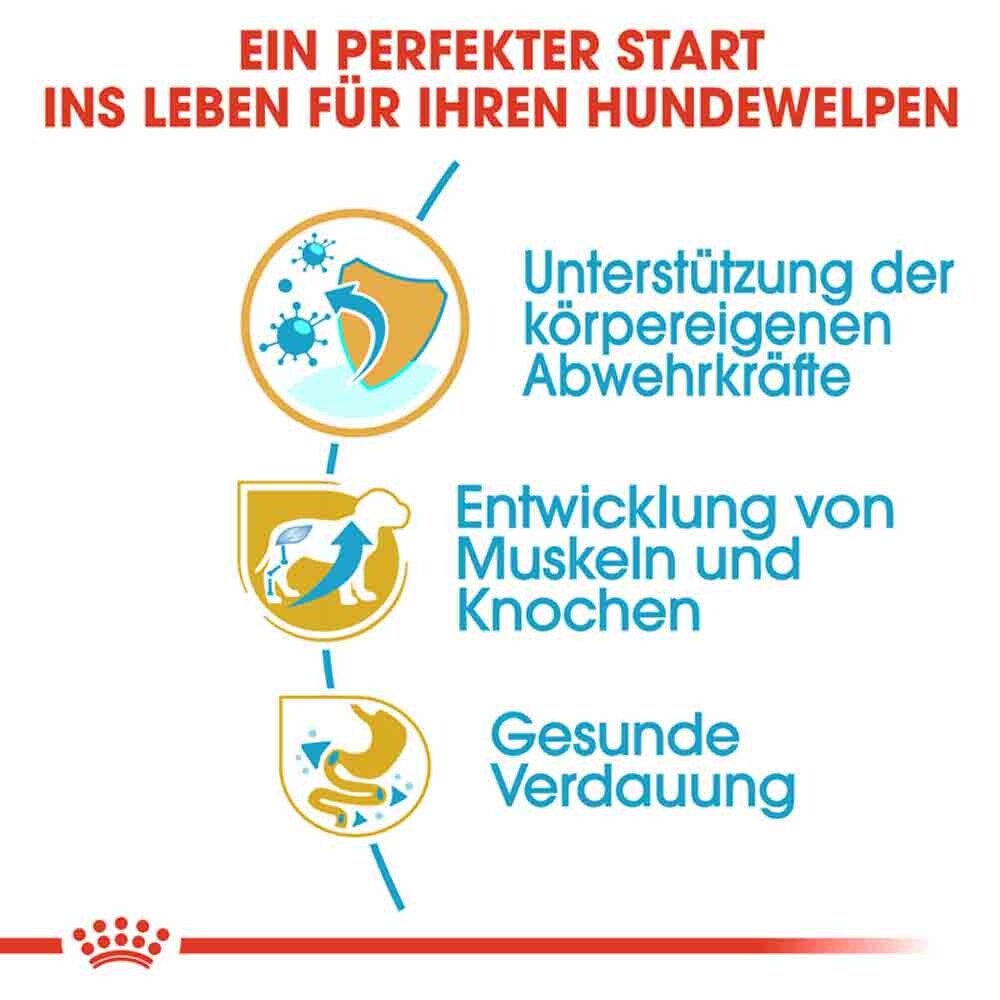 Royal Canin Rottweiler Puppy  Hunde_4