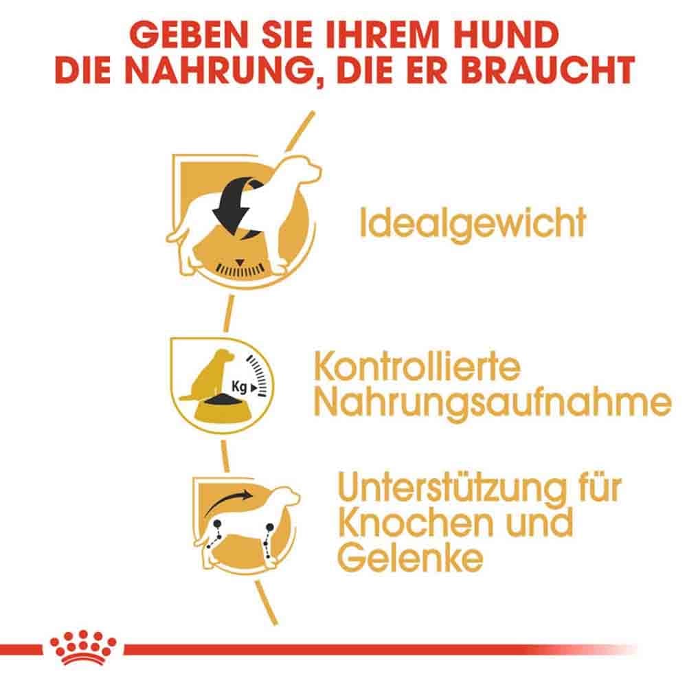 Royal Canin Beagle Adult Hundefutter trocken_4