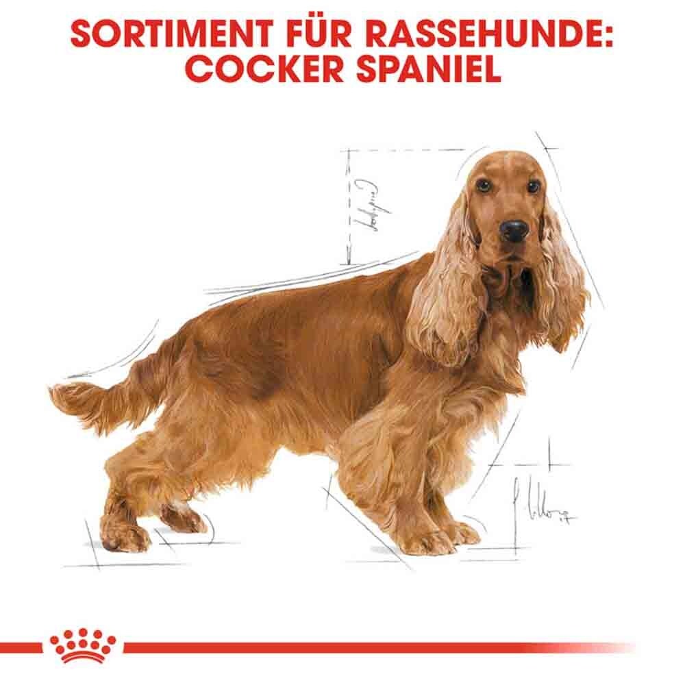 Royal Canin Cocker Adult Hundefutter trocken_3