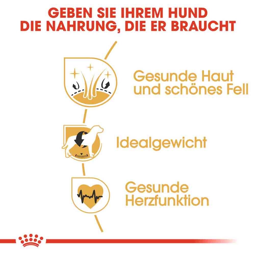 Royal Canin Cocker Adult Hundefutter trocken_4