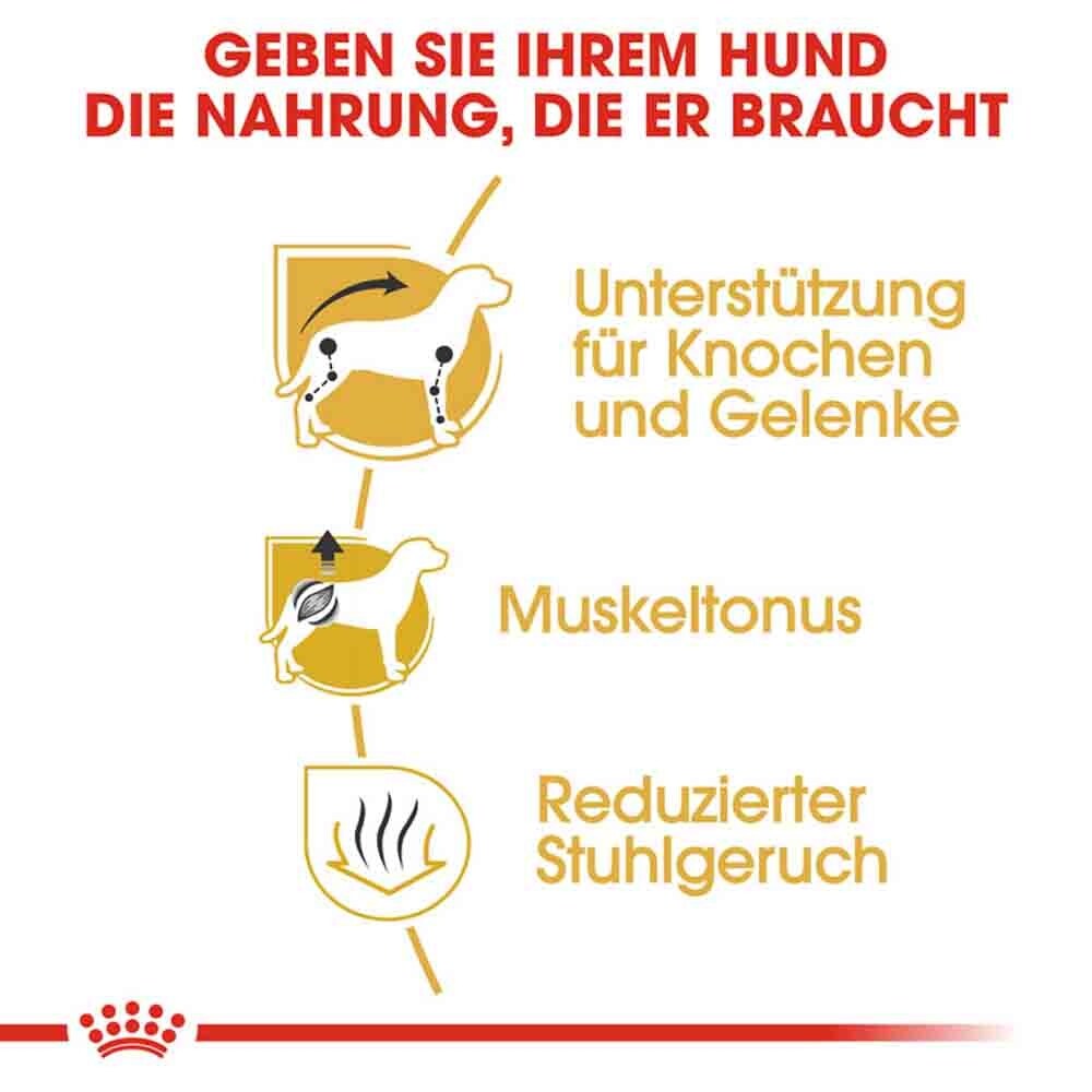 Royal Canin Dachshund Adult Hundefutter trocken_4