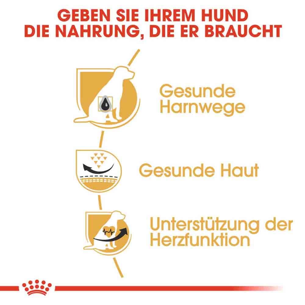 Royal Canin Dalmatian Adult Hundefutter trocken_4