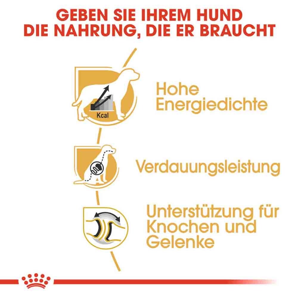 Royal Canin Great Dane Adult Hundefutter trocken_4