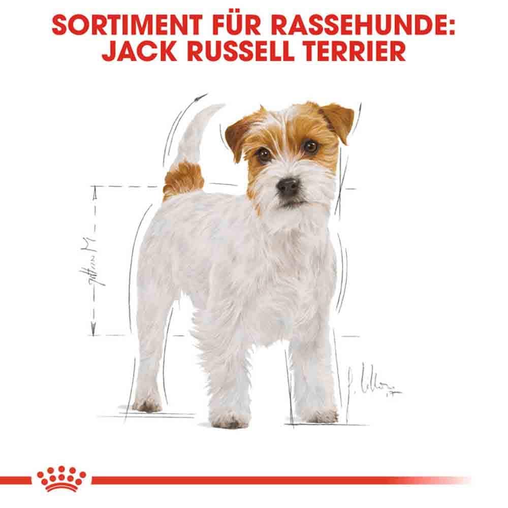 Royal Canin Jack Russell Terrier Adult Hundefutter trocken_3