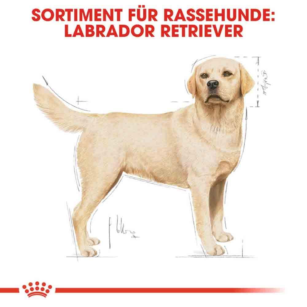 Royal Canin Labrador Retriever Adult Hundefutter trocken_3
