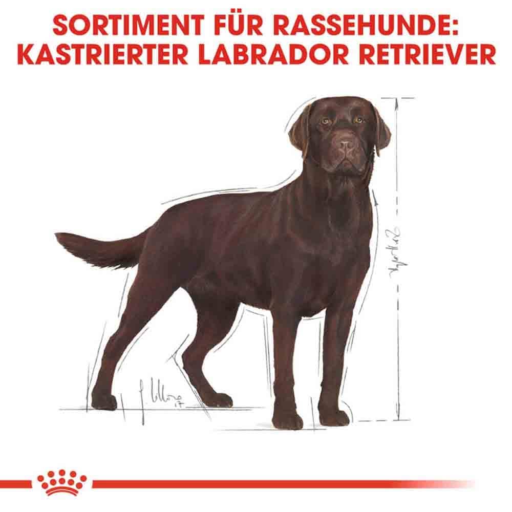 Royal Canin Labrador Retriever Adult Sterilised Trockenfutter für kastrierte Hunde_3
