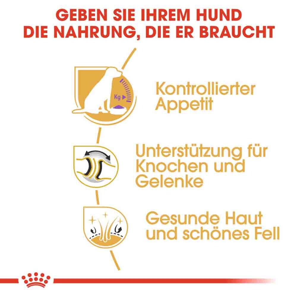 Royal Canin Labrador Retriever Adult Sterilised Trockenfutter für kastrierte Hunde_4