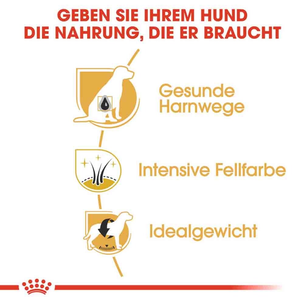 Royal Canin Miniature Schnauzer Adult Hundefutter trocken_4