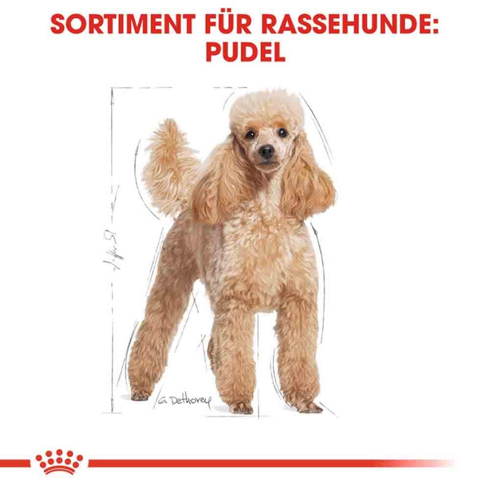 Royal Canin Poodle Adult Hundefutter trocken_3