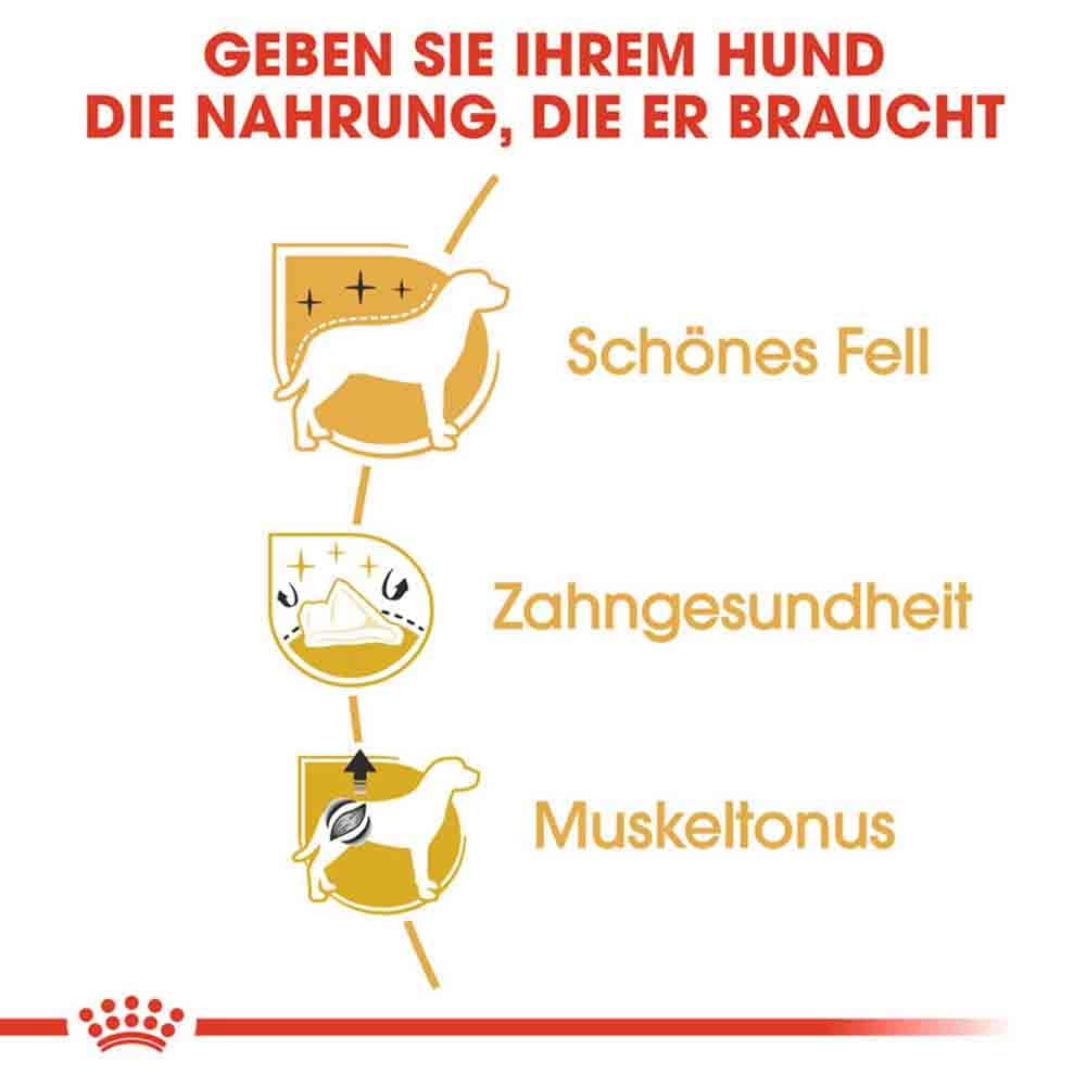 Royal Canin Poodle Adult Hundefutter trocken_4