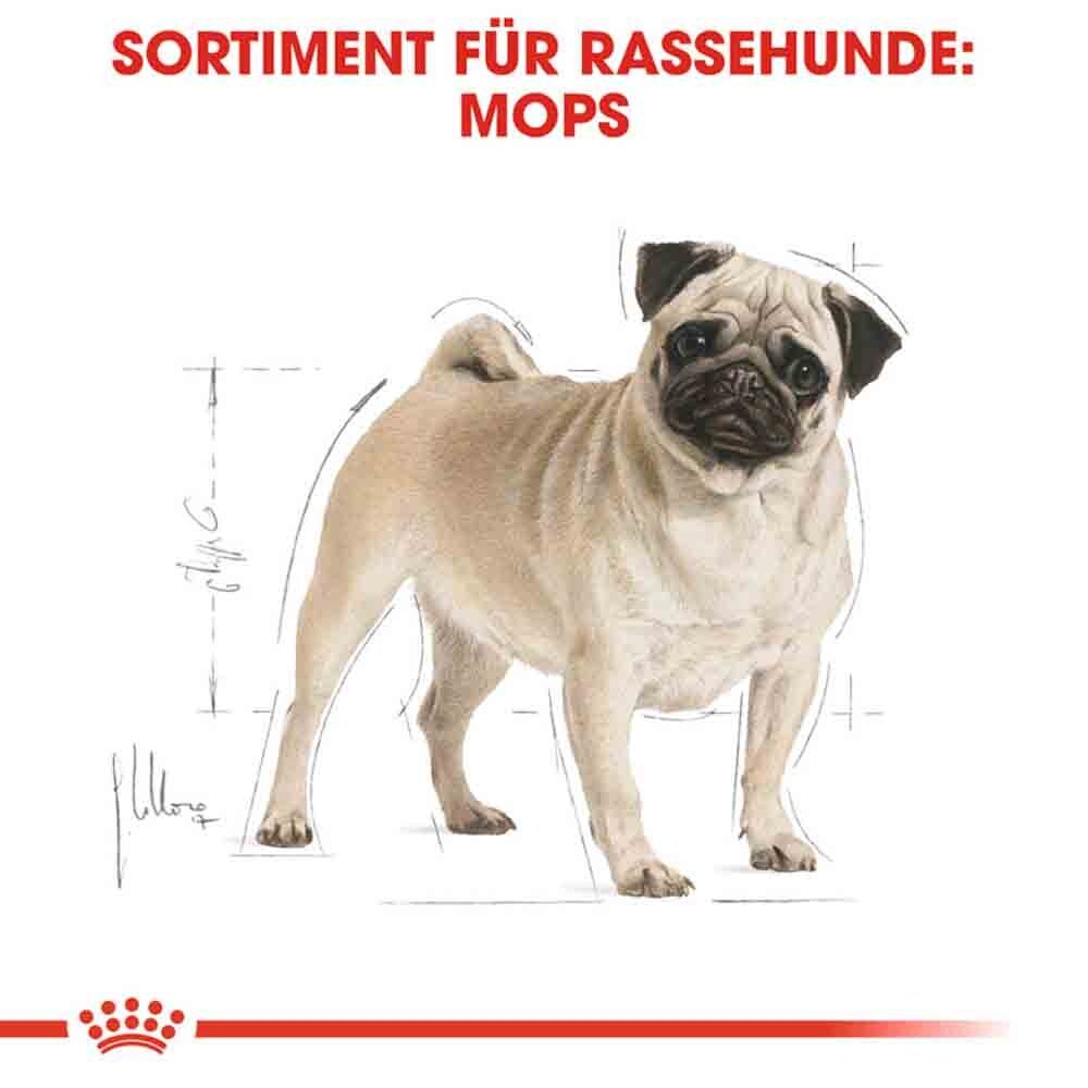 Royal Canin Pug Adult Hundefutter trocken_3