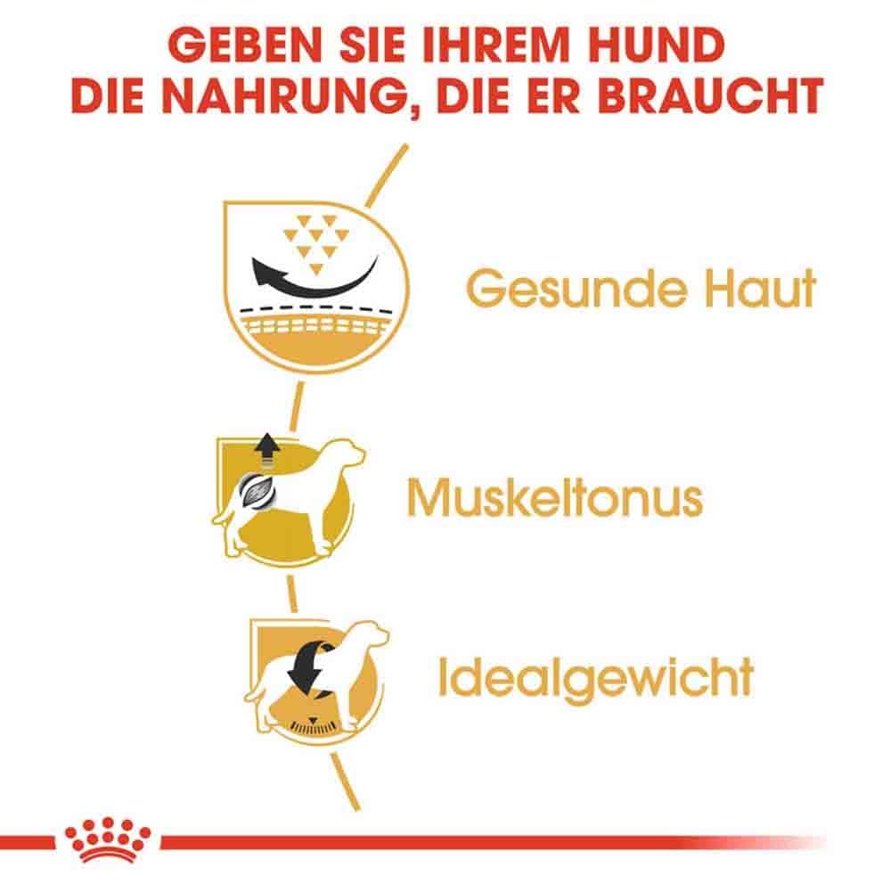 Royal Canin Pug Adult Hundefutter trocken_4