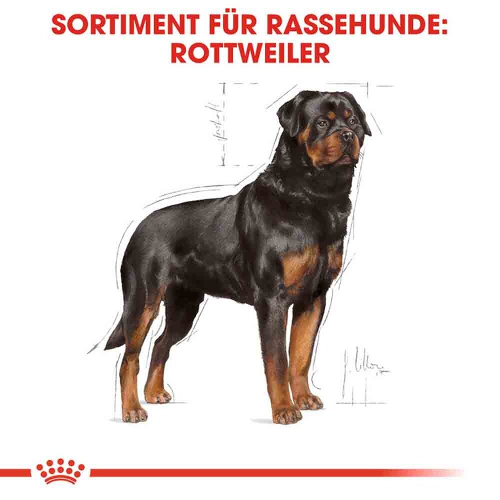 Royal Canin Rottweiler Adult Hundefutter trocken_3