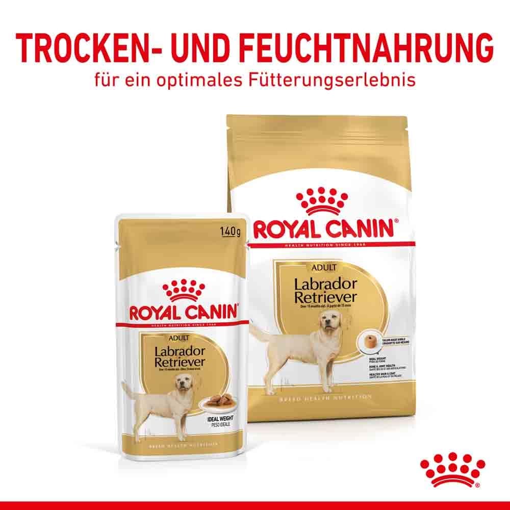 Royal Canin Labrador Retriever Adult Stückchen in Soße _5