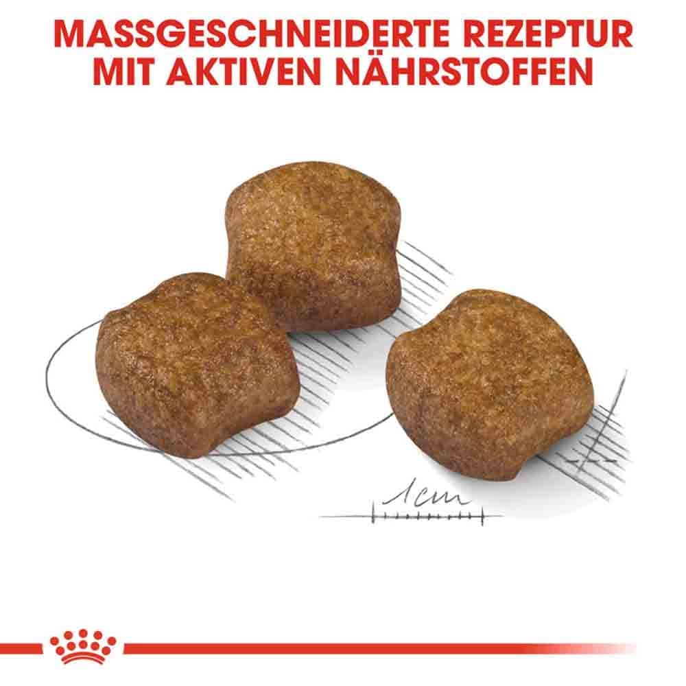 Royal Canin Dental Care Medium Trockenfutter für mittelgroße Hunde mit empfindlichen Zähnen_5
