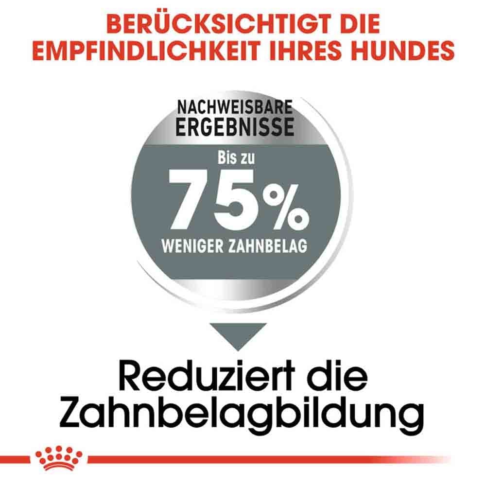 Royal Canin Dental Care Maxi Trockenfutter für große Hunde mit empfindlichen Zähnen_4