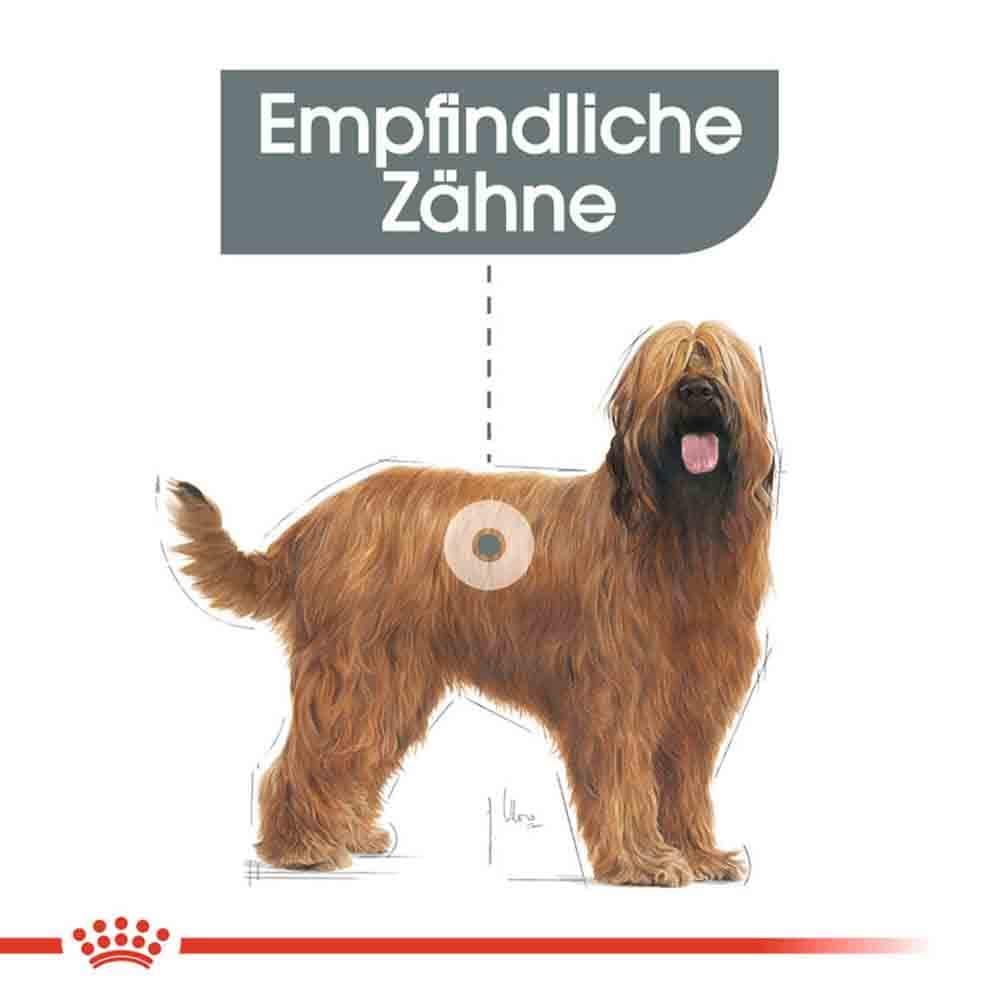 Royal Canin Dental Care Maxi Trockenfutter für große Hunde mit empfindlichen Zähnen_3