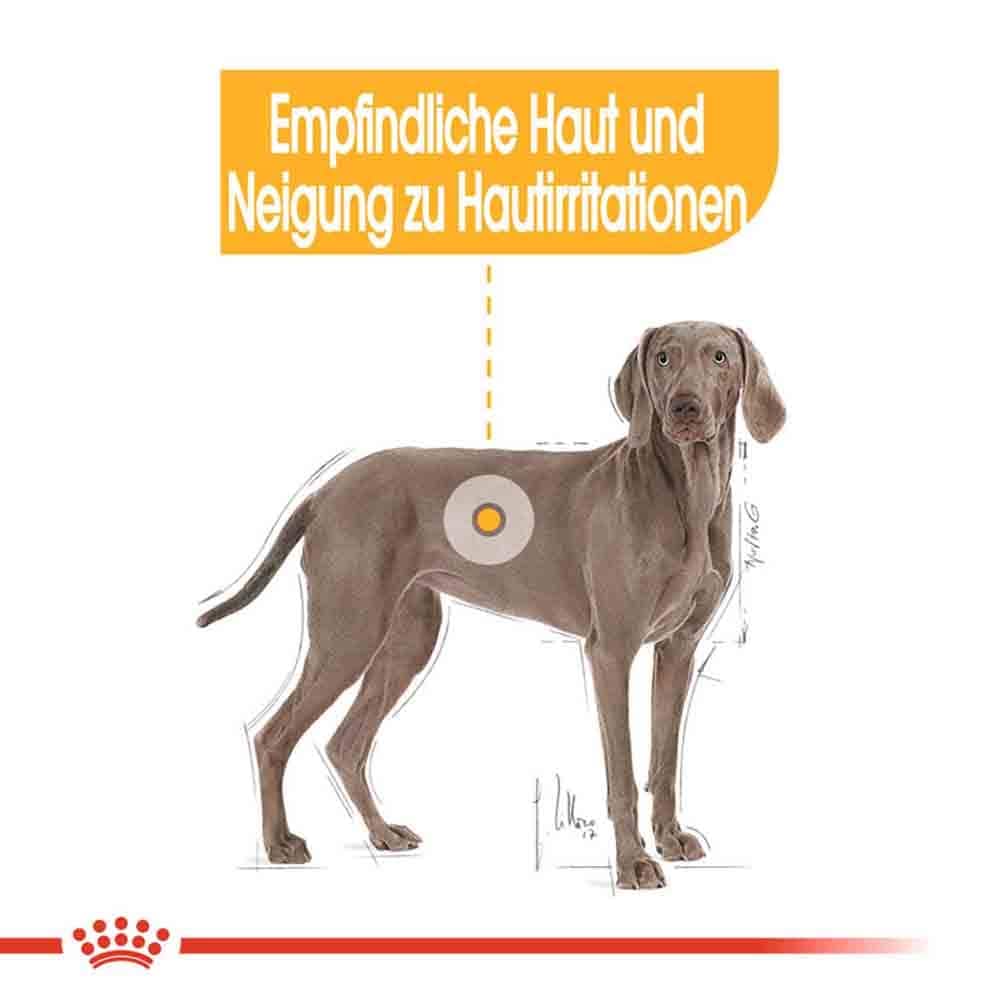 Royal Canin Dermacomfort Maxi Trockenfutter für große Hunde mit empfindlicher Haut_3