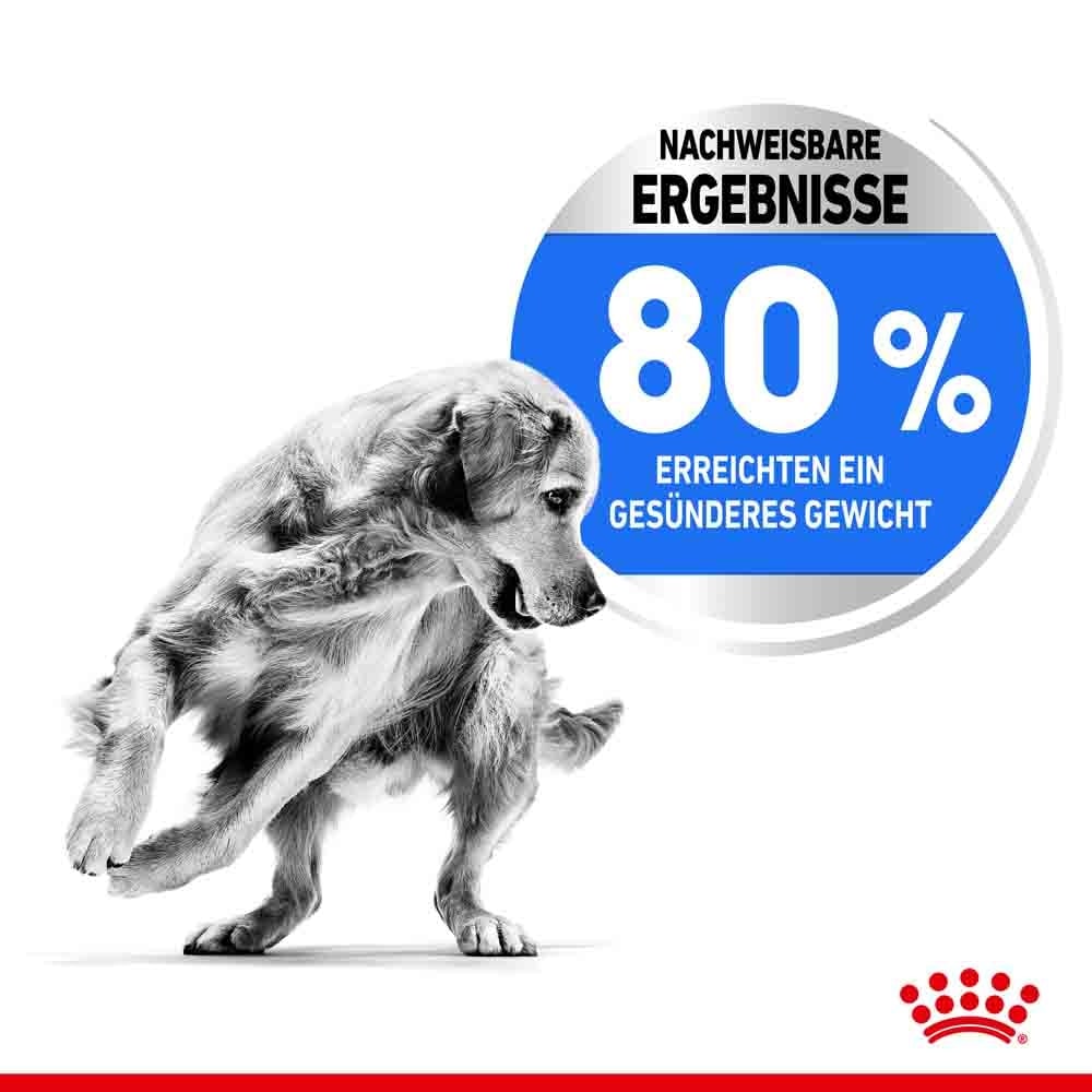 Royal Canin light weight care Medium Trockenfutter für zu Übergewicht neigenden Hunden _4